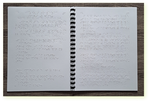 Photo of the Braille version of the book, "How To Feel BIG When You Feel Small."